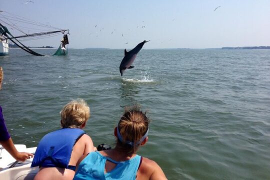 Private Dolphin and Nature Tour of Hilton Head