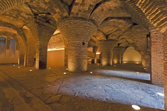 Gaudí and Modernistas 8-Hour Private Tour