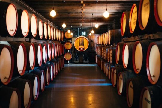 Discover Kakheti: Winery Khareba, Signagi, Gremi, Bodbe Monastery