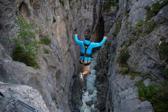 Interlaken and Canyon swing from Grindelwald Day Trip in Zurich