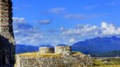 The guide transformed a simple sightseeing trip into a memorable experience