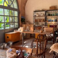 Classes & Workshops