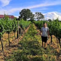Food, Wine & Nightlife