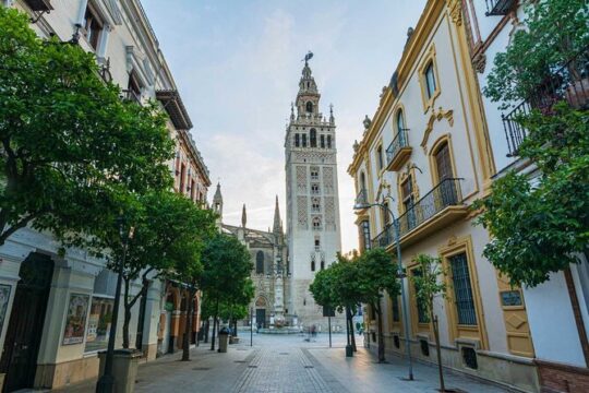Excursion to Seville with visit and tickets to the Cathedral and Giralda