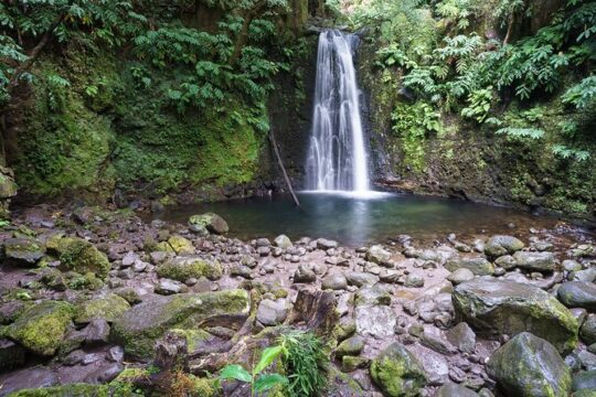 Join us for the Amazing Sanguinho Forest Walk
