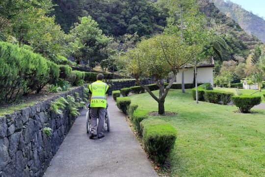Wheelchair Full Day Tour Porto Moniz E Sao Vicente
