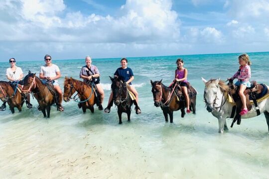 Small Group Horseback Riding Adventure in Caicos Islands