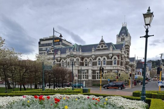 Experience Dunedin Private Tours