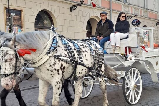 Old Town of Krakow and Wawel in Russian