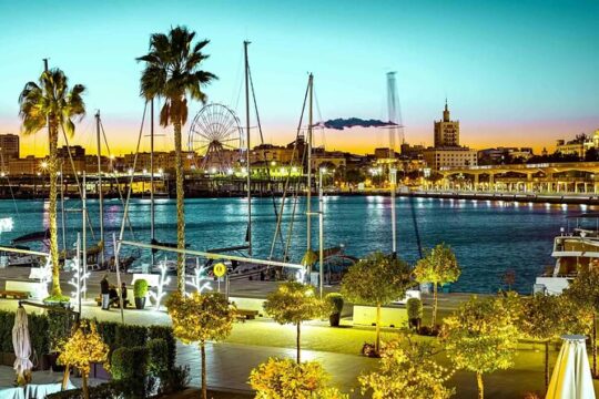 Malaga 6 hour Private Tour from and to Port