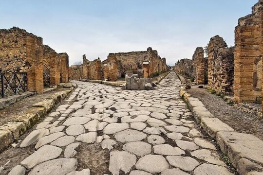 Private Day Tour from Rome to Pompeii and Taste of Wine