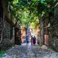 Holiday & Seasonal Tours