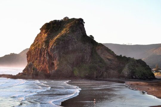 Auckland City and Phia Beach Private Tour