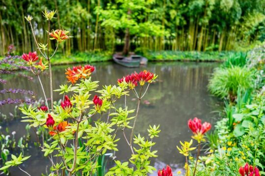 Private Live Guided Giverny, Honfleur, Etretat Cliffs by Mercedes