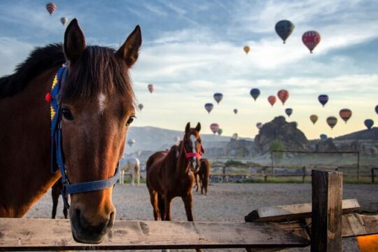 Cappadocia Private Tour From Istanbul By Plane Tour