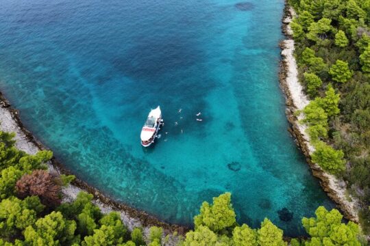 Split private boat tour for a groups up to 42 people