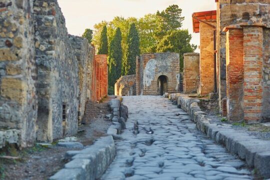 Pompeii Private Guided Tour with nominative tickets from Sorrento