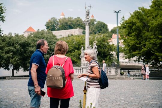 Private Bratislava Tour with Transfer from Vienna to Budapest