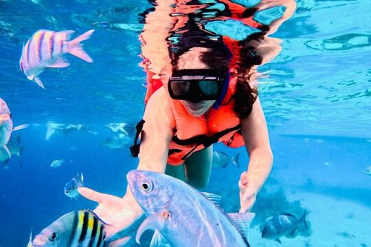 Snorkeling and All Inclusive Beach Club from Costa Maya