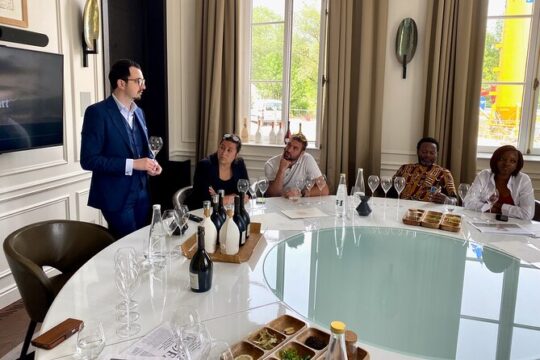 Private Ruinart Champagne Half day Trip from Paris