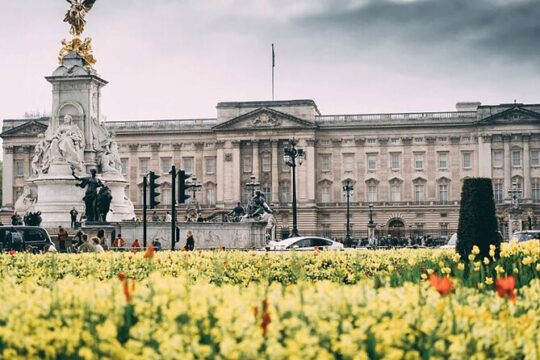 Essential London Half-Day Tour of Iconic Landmarks