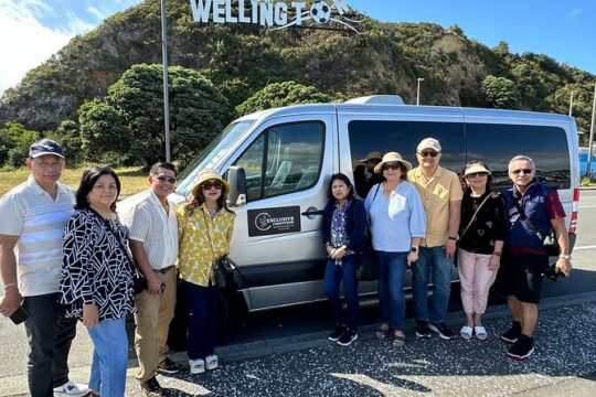 Private Wellington City Highlight Tour