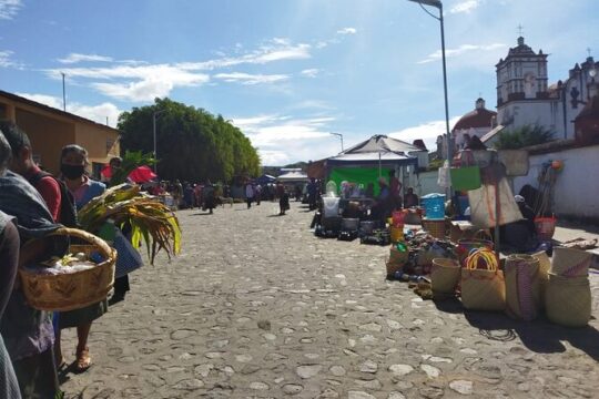 Historical Tour in Teotitlan del Valle