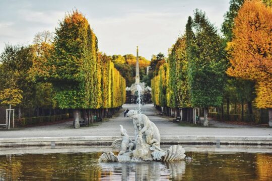 A day in the life of Vienna - Private tour with a local