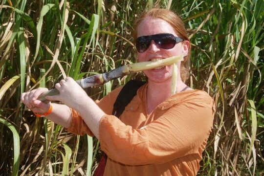 Higuey City Tour Half Day Cultural Experience From Punta Cana