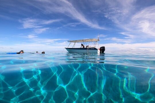 First dive in the beautiful and quiet Mara'a lagoon (Paea - Tahiti)