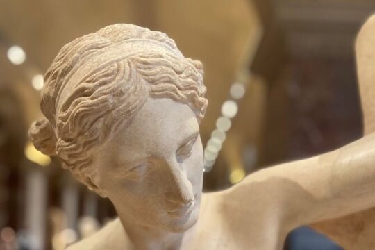 Louvre Private Tour with Skip The Line Entry