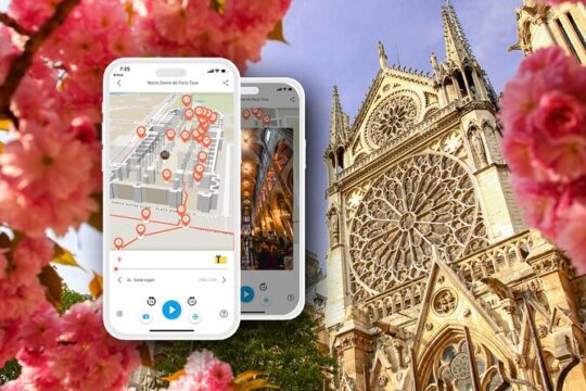 Self Guided Audio Tour of Notre Dame de Paris Cathedral