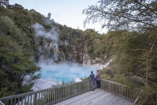 From Rotorua Waimangu Volcanic Valley Half Day Tour