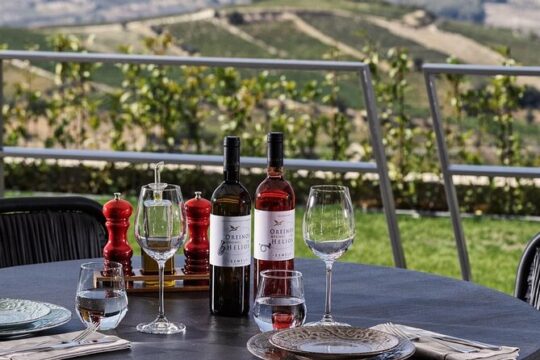Discover Greek Wine Country: Meal and Wine Tasting at Wine Estate