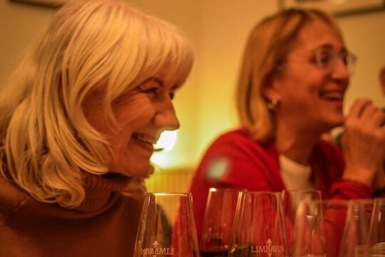 Bratislava Wine Tasting in City Center