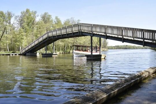 Boat Tour on Bagsværd & Lyngby Lake, outside of Copenhagen