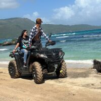 Tours & Sightseeing
