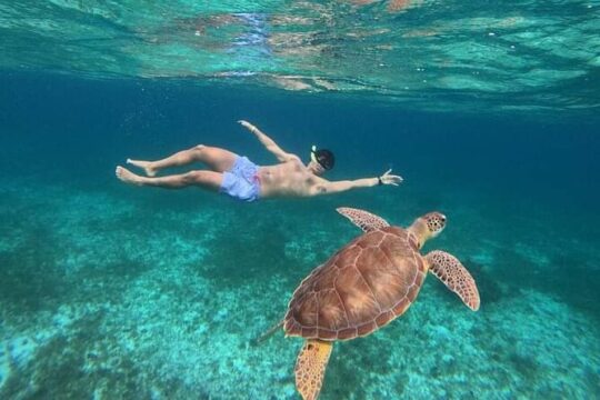 Shared Cancun Catamaran Tour To Isla Mujeres