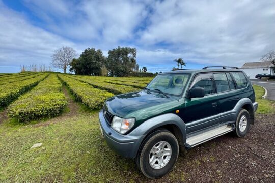 Private Jet Tour 4x4 Full Day Explore the island at your own pace