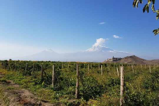 Day trip to: Khor Virap-Areni Winery-Noravank