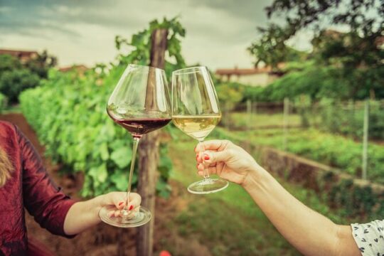Private Luxury Wine Tasting Tour in Nemea, Nafplio