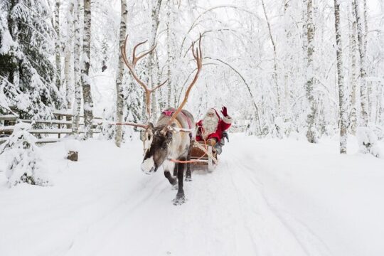 Reindeer Sleigh Ride and Farm Experience from Rovaniemi