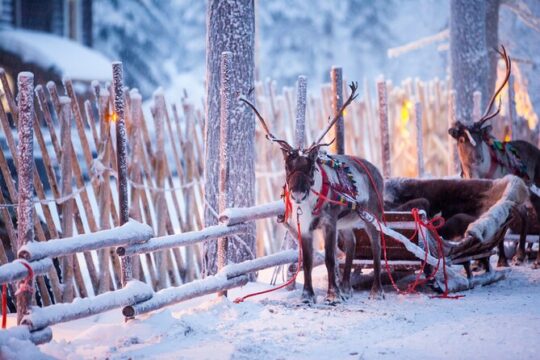 Half Day Private Tour to Santa Claus Village and Rovaniemi