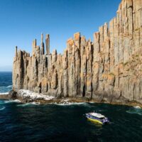 Boat Tours
