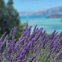 Walking & Biking Tours