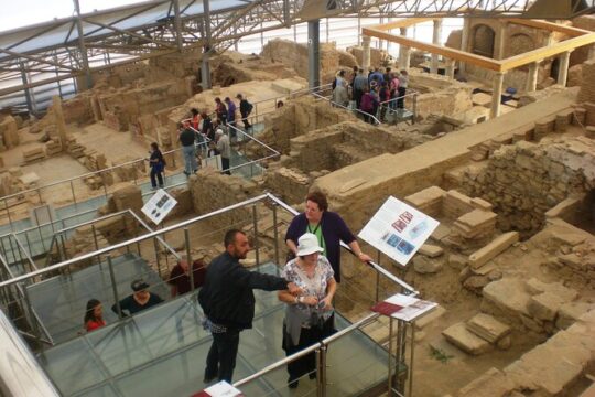 Roman Terrace Houses and Ephesus Shore Excursion in Kusadasi