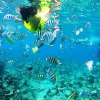 Sailing Trips