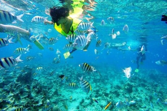 Half Day Sosua Sunset Cruise with Snorkeling