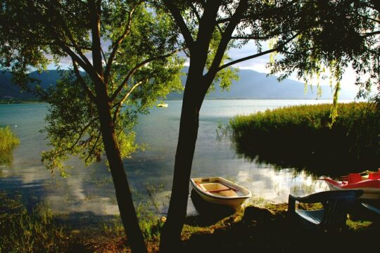 Private Green Sapanca Day Tour From Istanbul