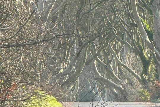 Private Luxury Game of Thrones Tour from Dublin